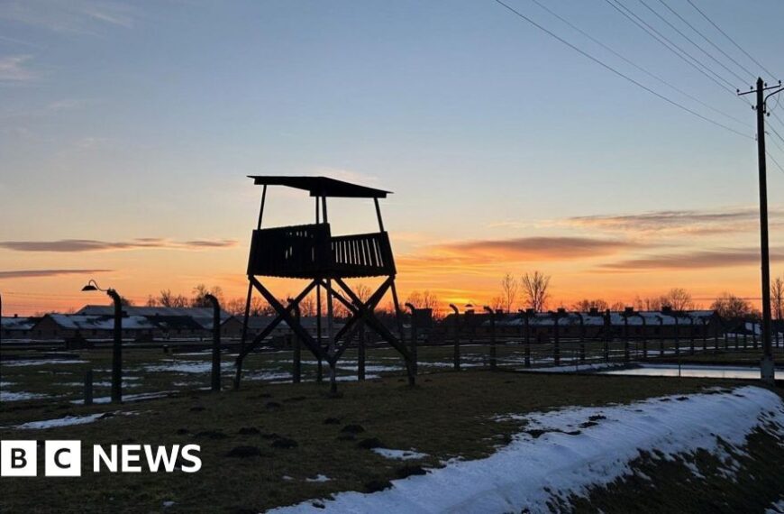 Auschwitz survivors return as world remembers Nazi death camp 80 years on