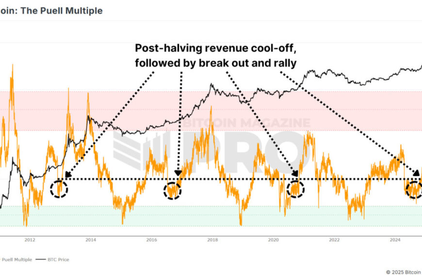 Bitcoin Deep Dive Data Analysis & On-Chain Roundup