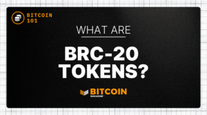 What Are BRC-20 Tokens? An Introduction