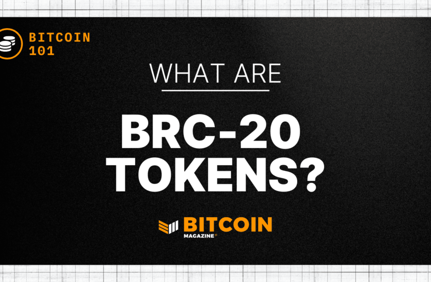 What Are BRC-20 Tokens? An Introduction