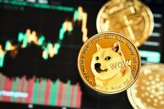 Dogecoin Set For A Rally…