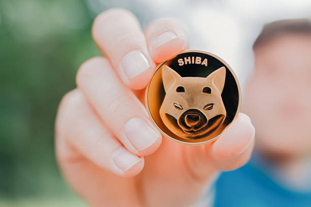 Dogecoin Price Bounces Off Key…