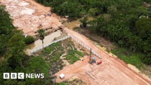 Amazon rainforest cut down to build highway for…