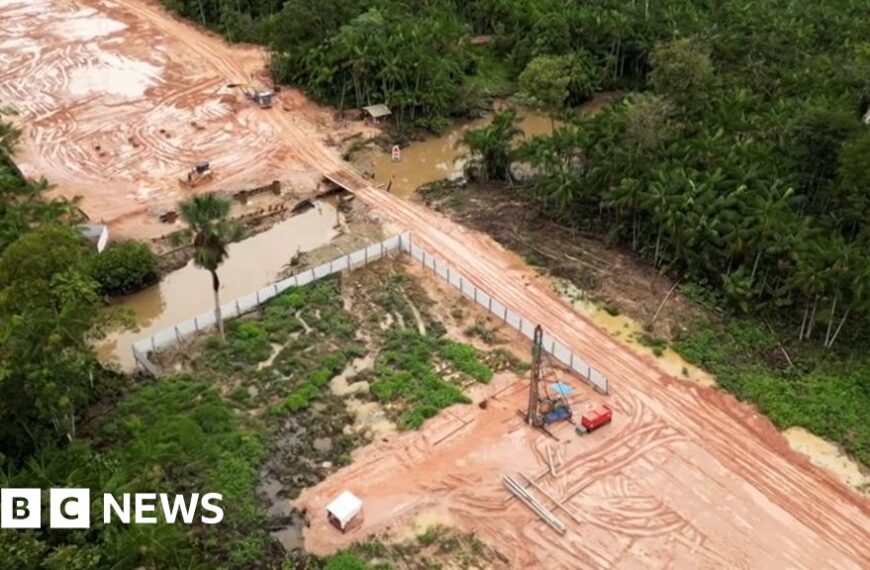 Amazon rainforest cut down to build highway for COP climate summit
